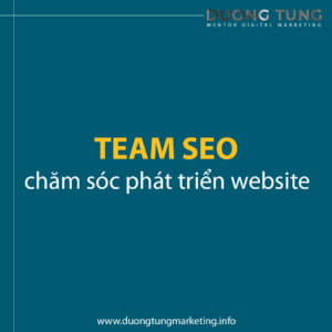 Dịch vụ SEO traffice