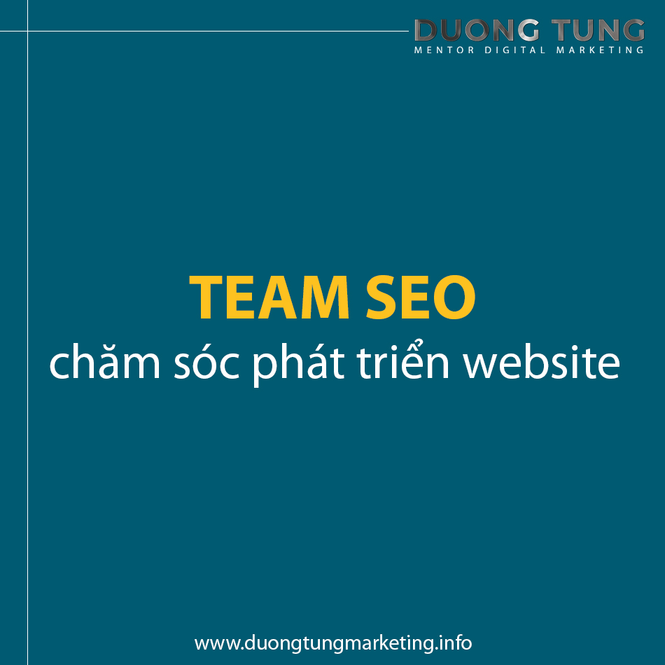 Dịch vụ SEO traffice