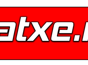 chất xe